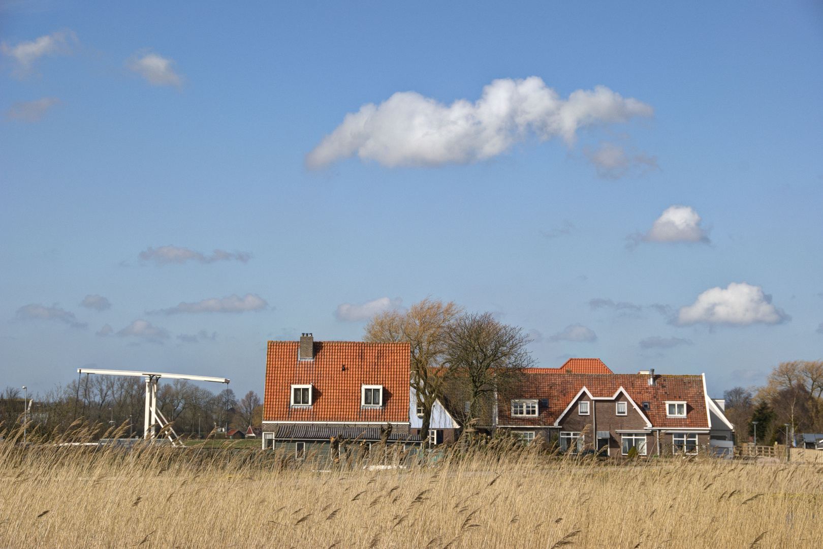 Volgermeerpolder - View on Broek in Waterland-