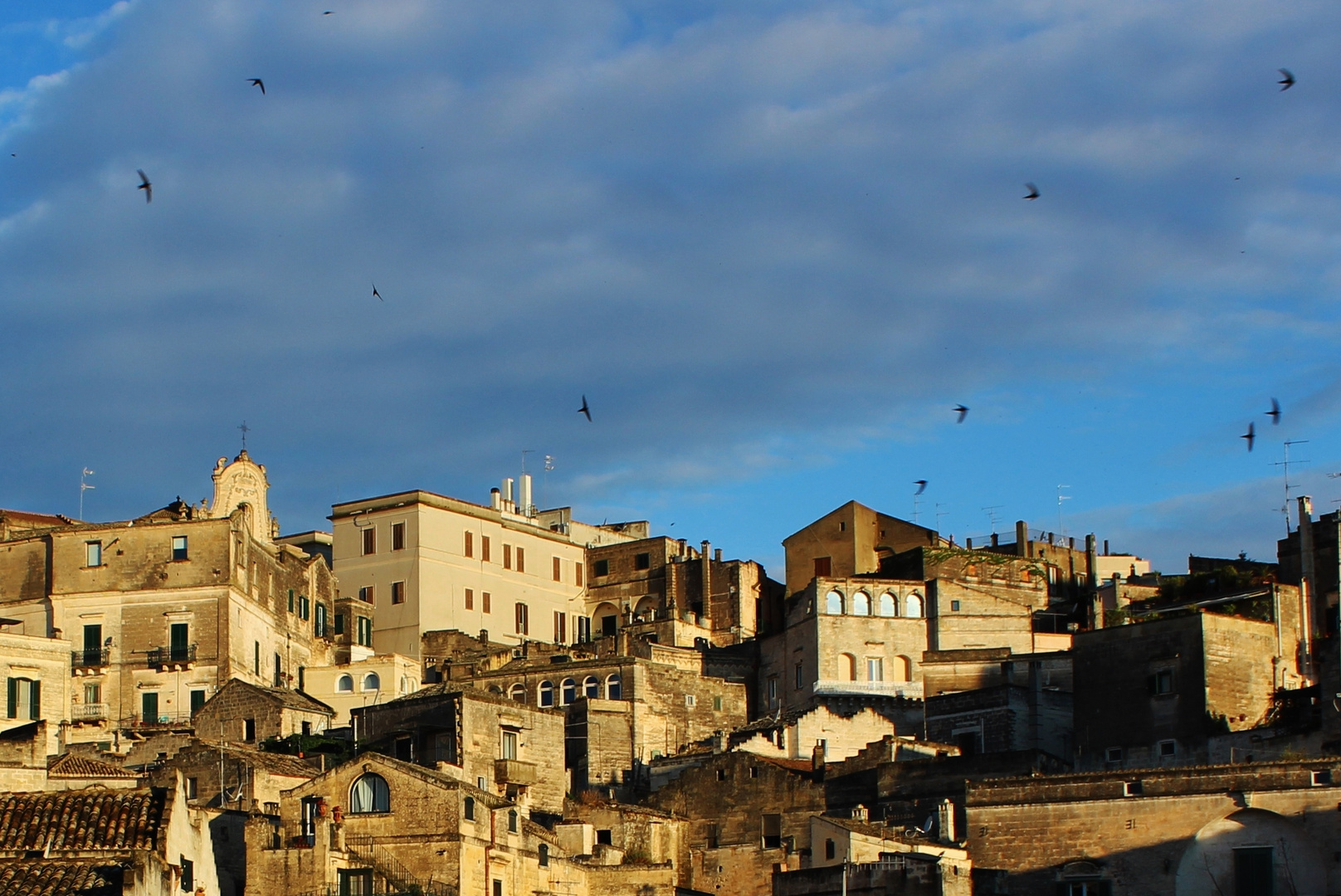 voli di rondini a matera