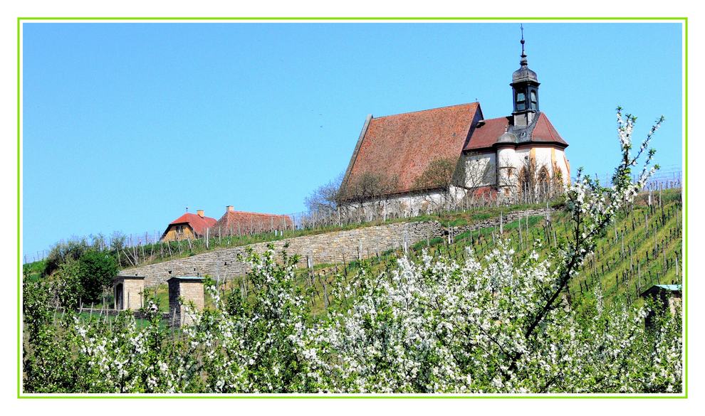 Volkach - Maria im Weingarten