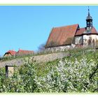 Volkach - Maria im Weingarten