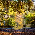 Volksdorf - Ein Platz am See