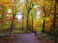 Volksdorf, Waldweg