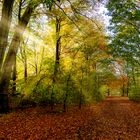 Volksdorfer Teichwiesen im Herbst