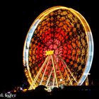 Volksfest in Ulm