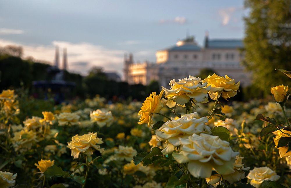 Volksgarten