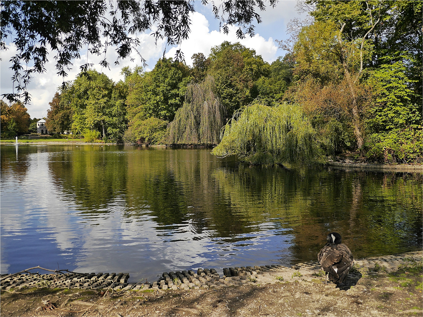 Volksgarten Düsseldorf Foto & Bild natur, landschaft, park