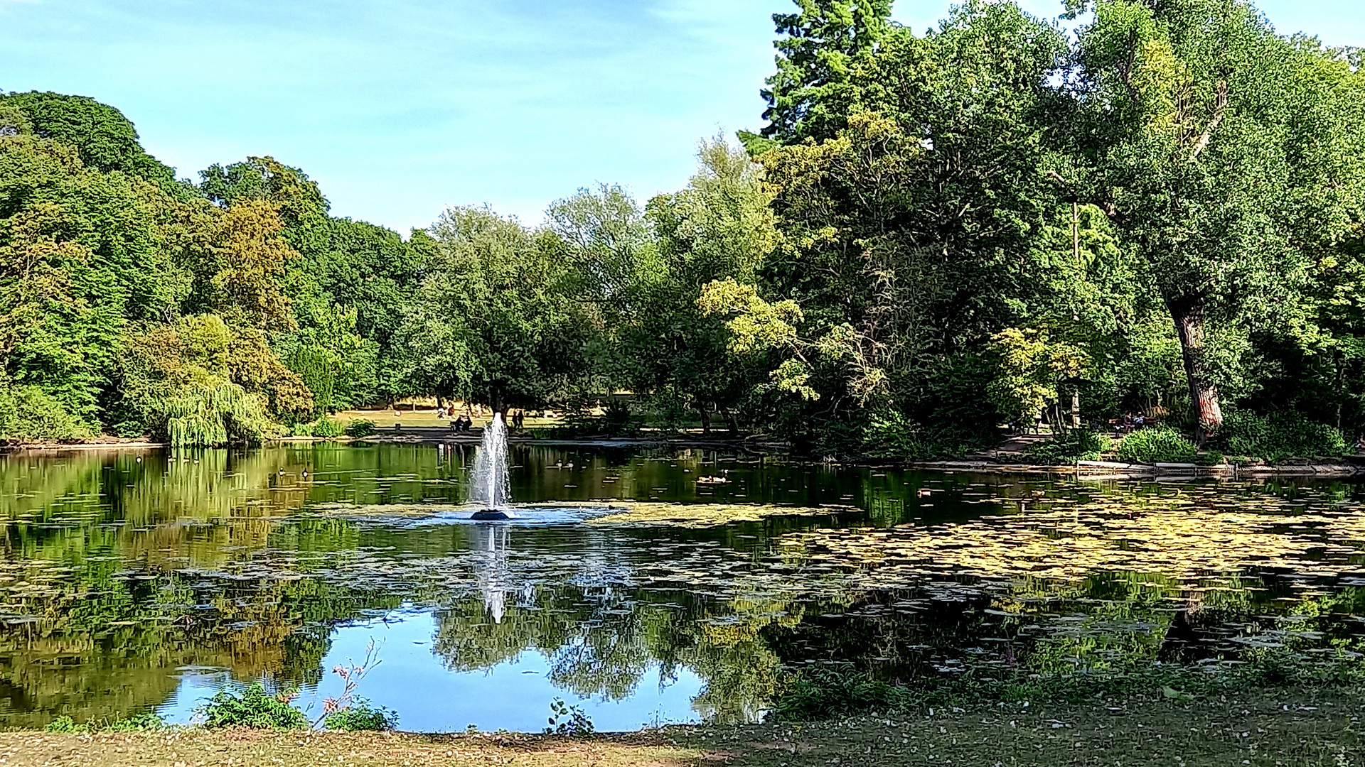 Volksgarten Düsseldorf