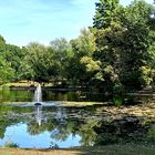 Volksgarten Düsseldorf