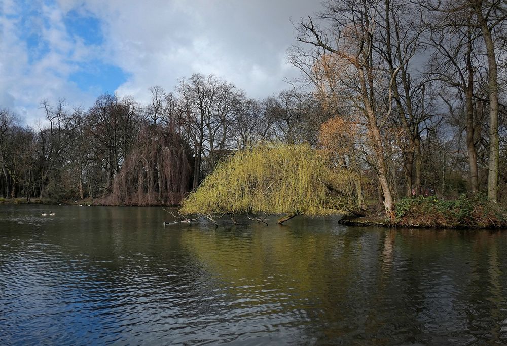 Volksgarten Düsseldorf Foto & Bild | natur, landschaft, parklandschaft