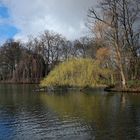 Volksgarten Düsseldorf