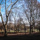 Volksgarten Köln