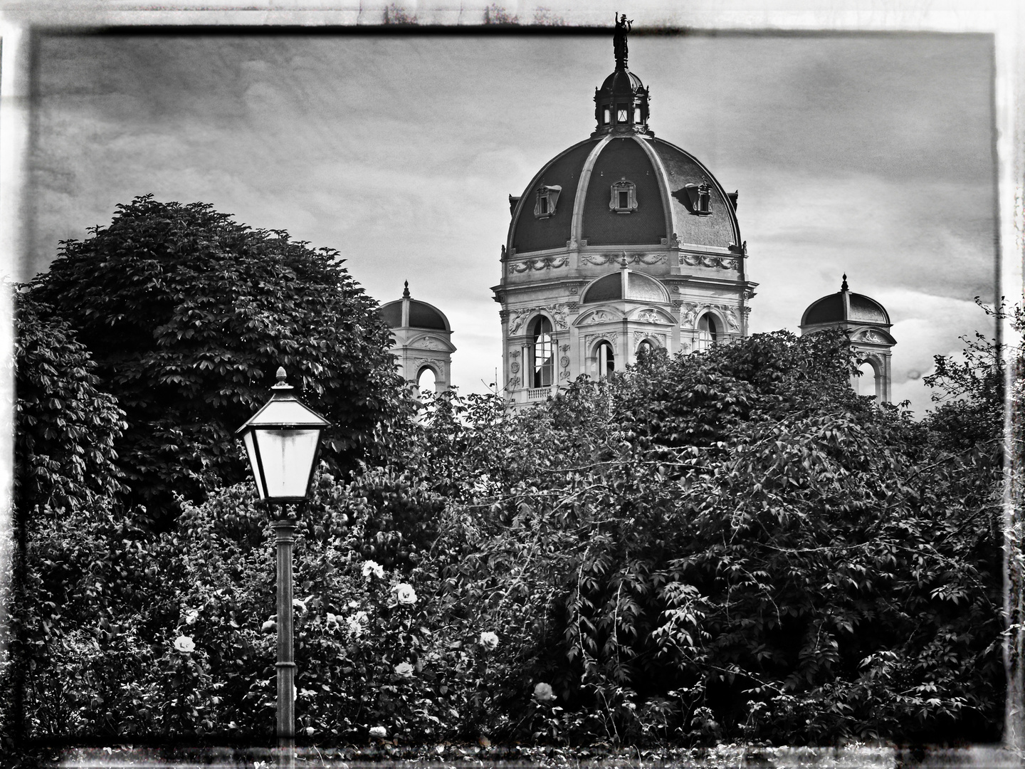 Volksgarten / Naturhistorisches Museum