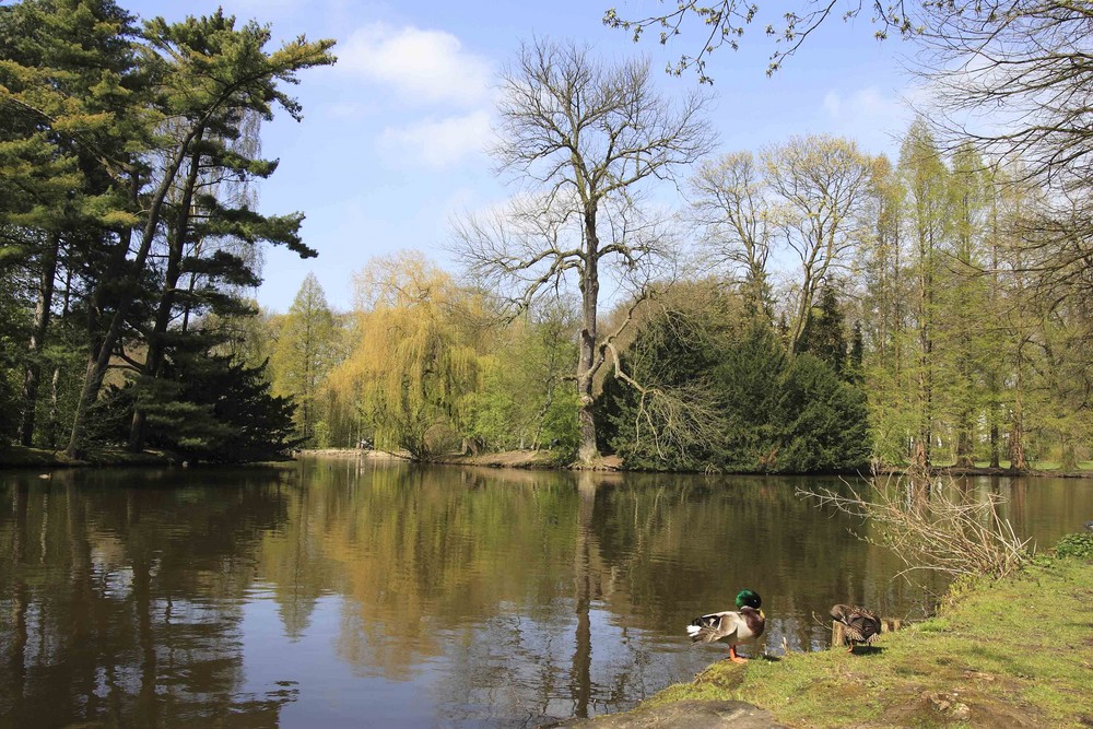 Volksgartenweiher