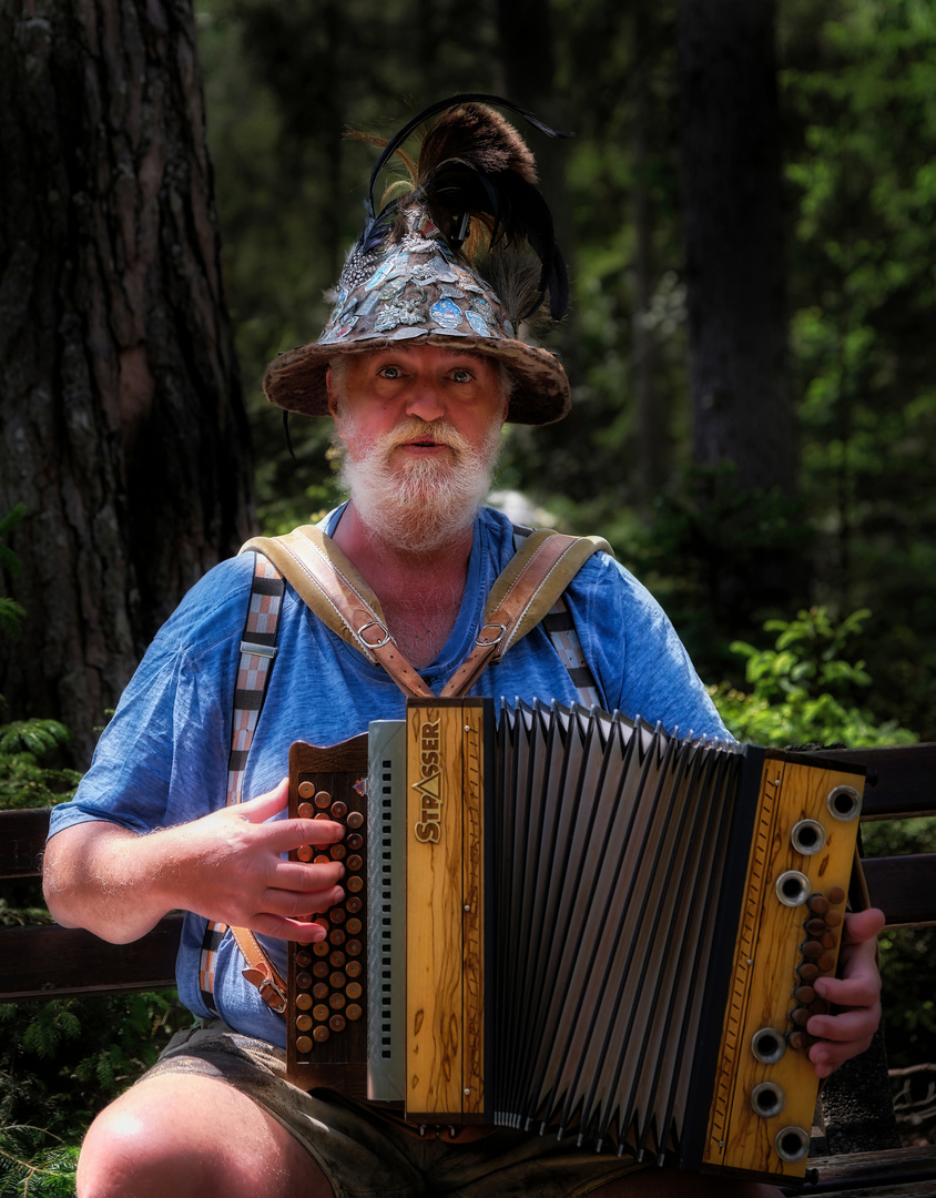 Volksmusiker