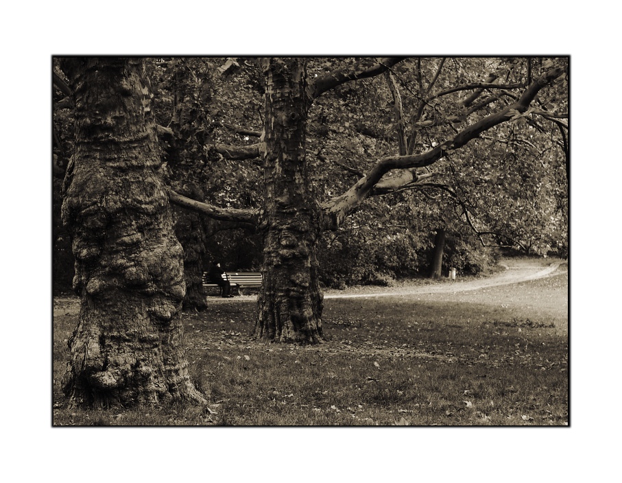 Volkspark Berlin/Wilmersdorf