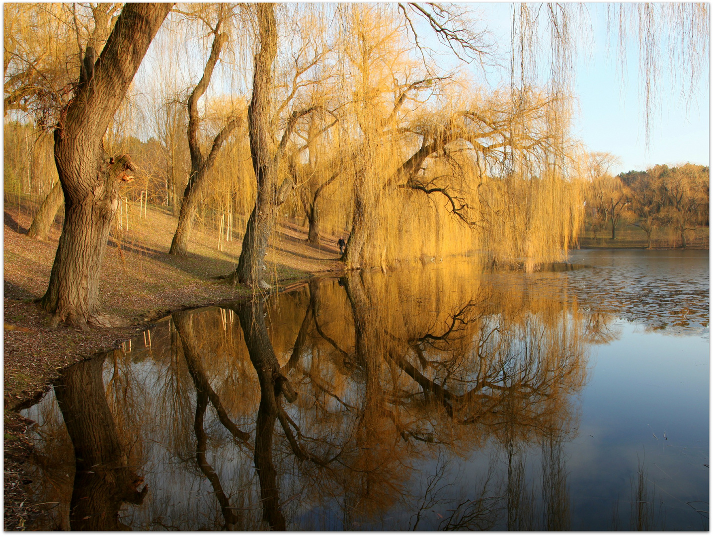 Volkspark