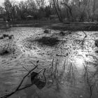 Volkspark Friedrichshain 1