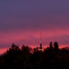 Volkspark Friedrichshain Abendhimmel