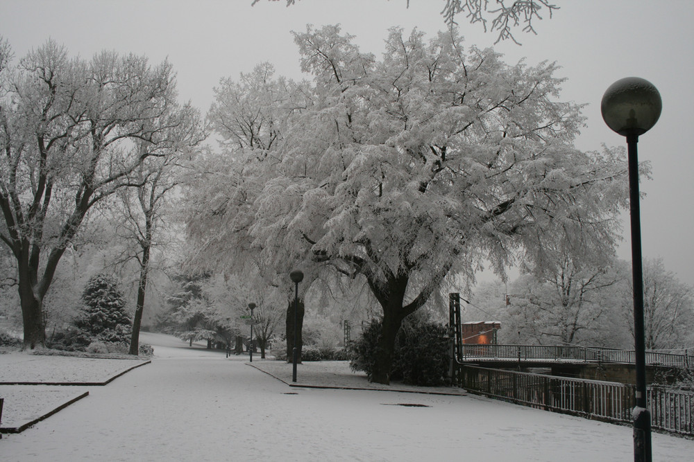 Volkspark Frosted