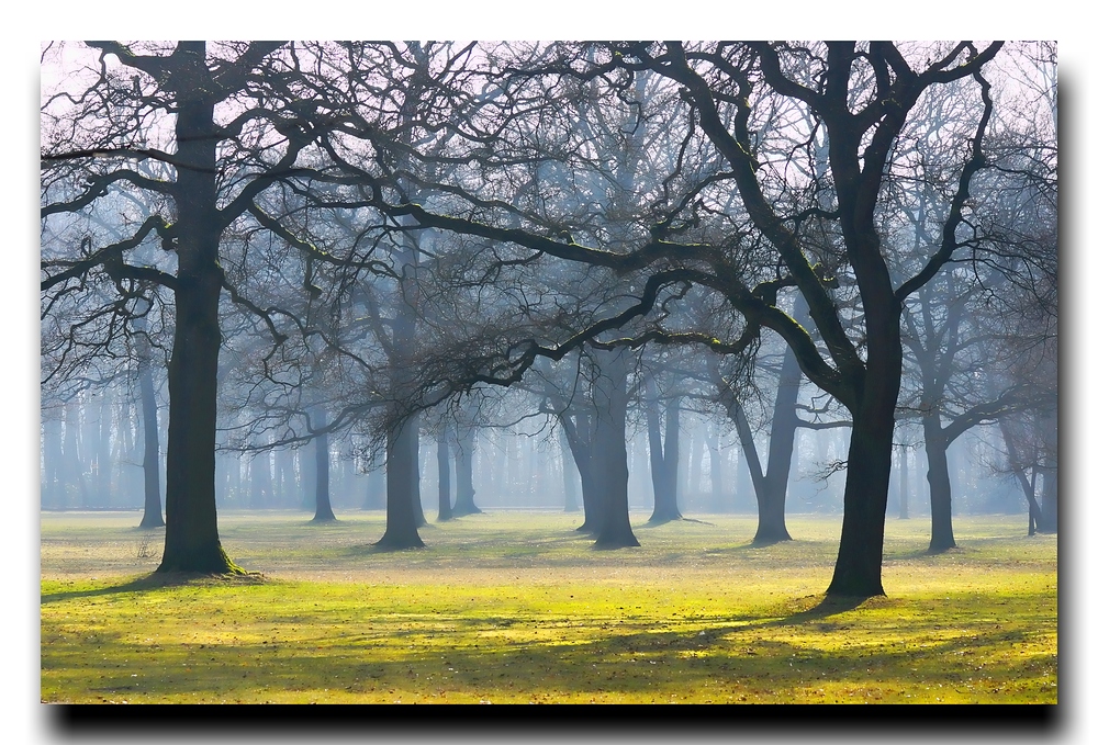 Volkspark Hamburg