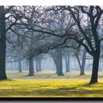 Volkspark Hamburg