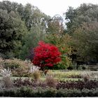 volkspark im herbst