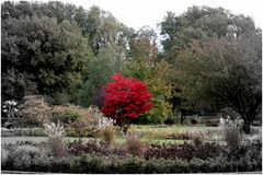 volkspark im herbst