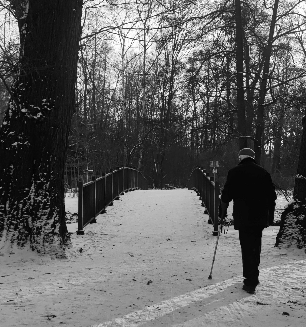 Volkspark Jungfernheide 