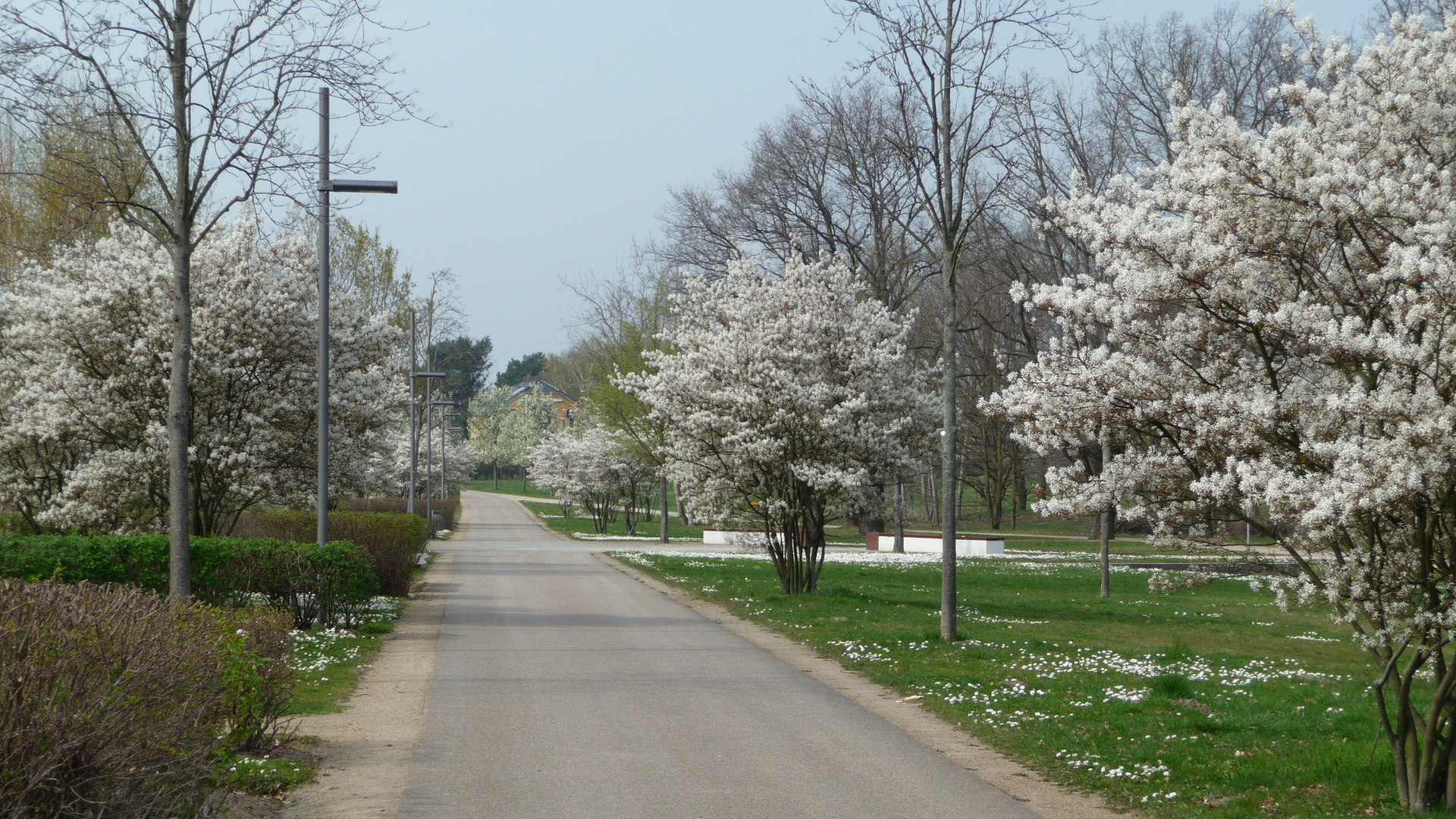 Volkspark Potsdam