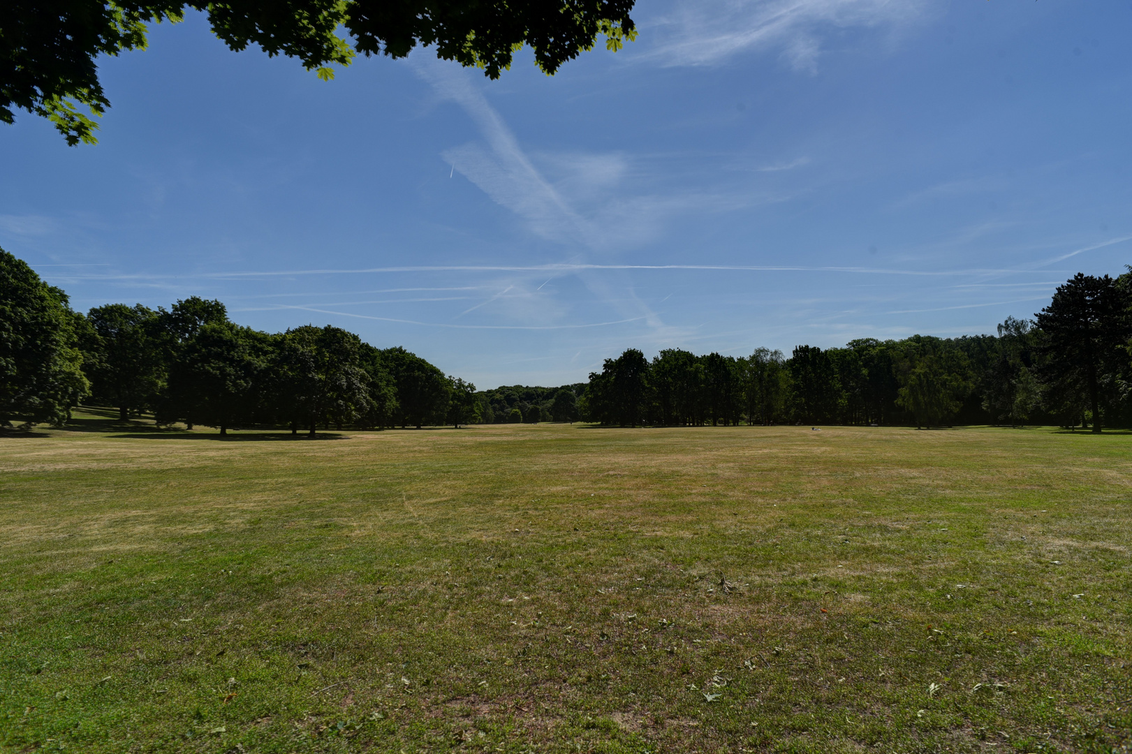 Volkspark Rehberge in Berlin