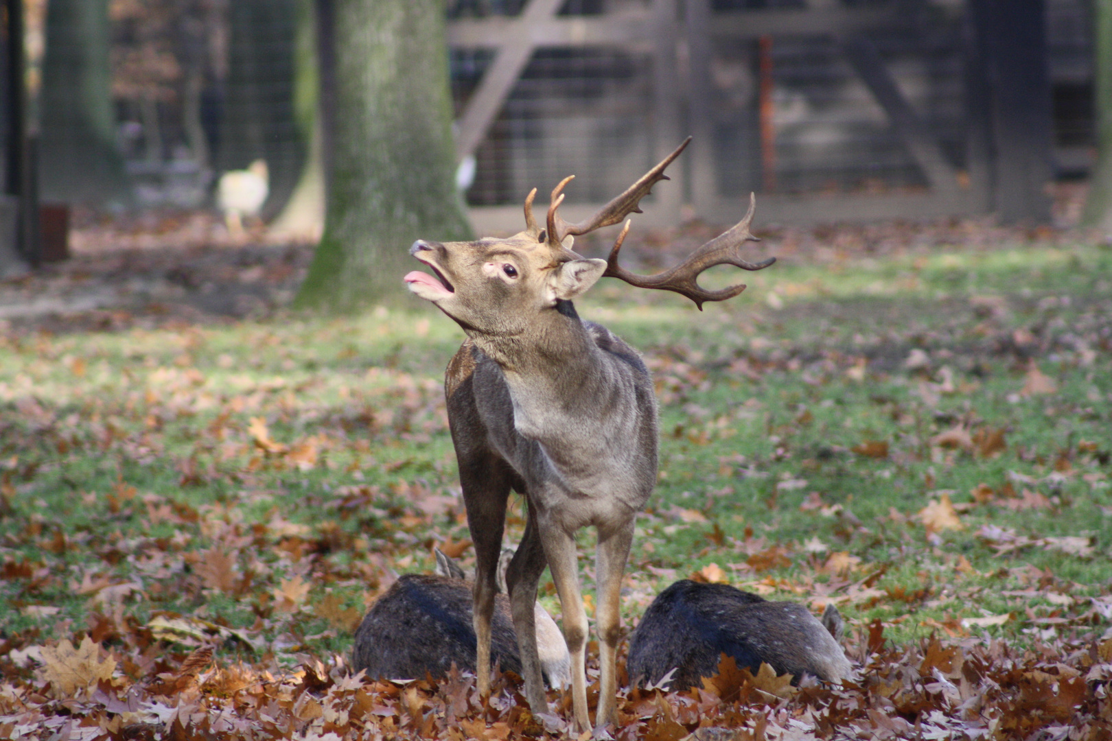 Volkspark-Rheinhausen