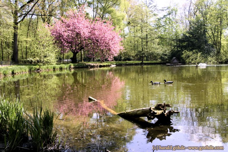 Volkspark Rheinhausen