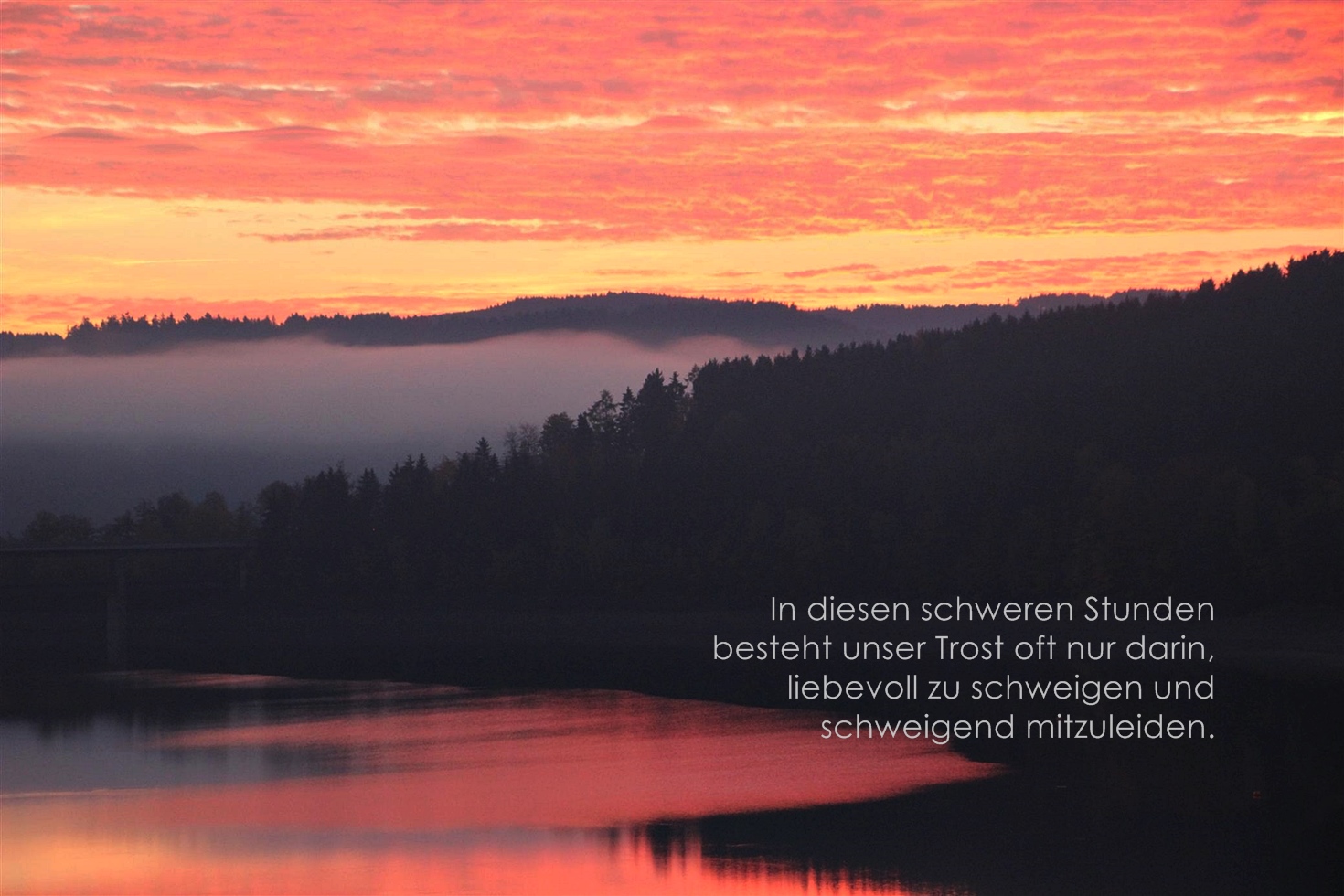 Volkstrauertag Foto & Bild trauer, trauer ein gefühl in bildern