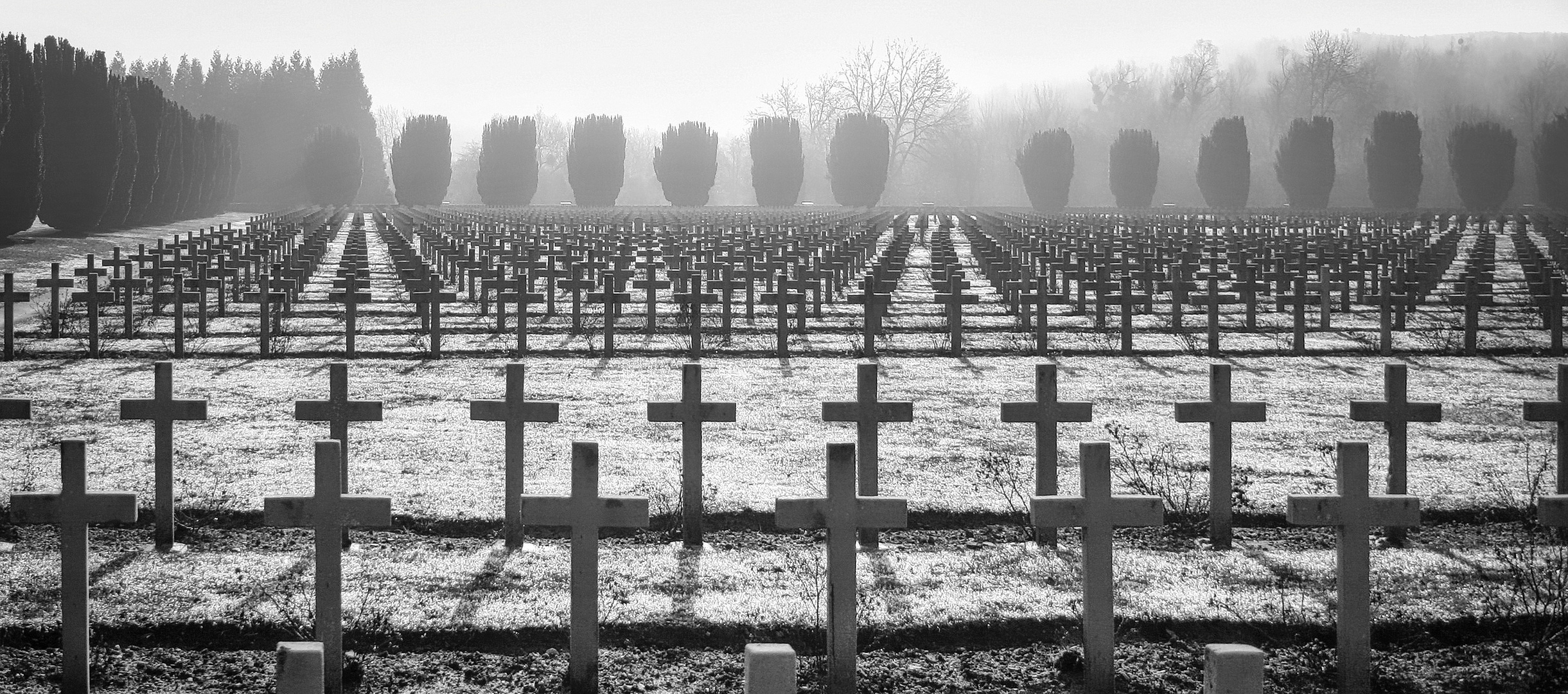 Volkstrauertag 2022 Foto & Bild | architektur, friedhfe, trauer Bilder ...