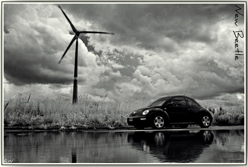 Volkswagen New Beetle