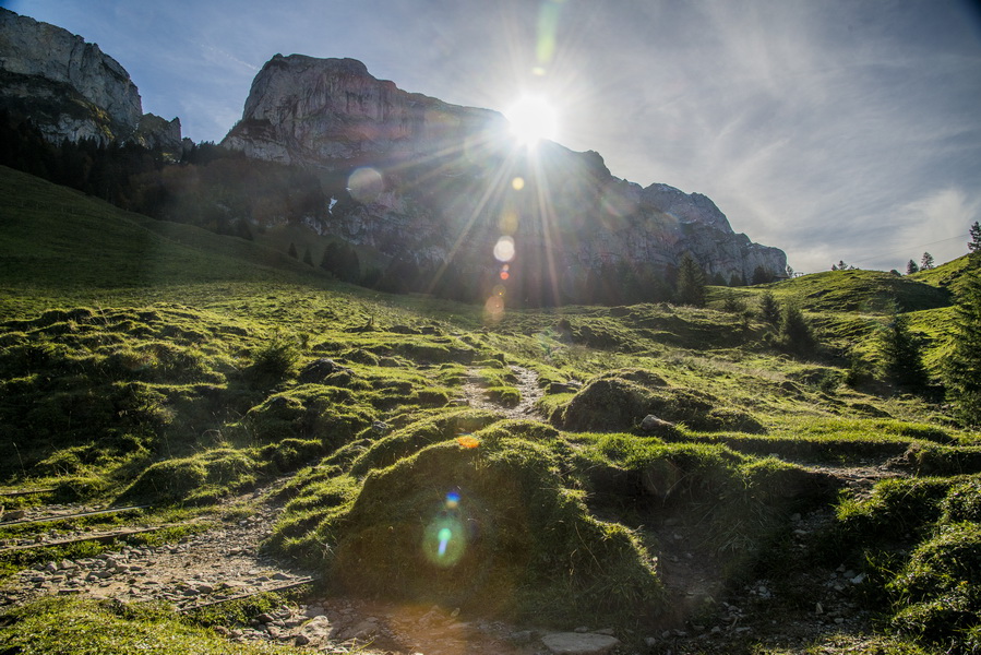 Voll gegen die Sonne