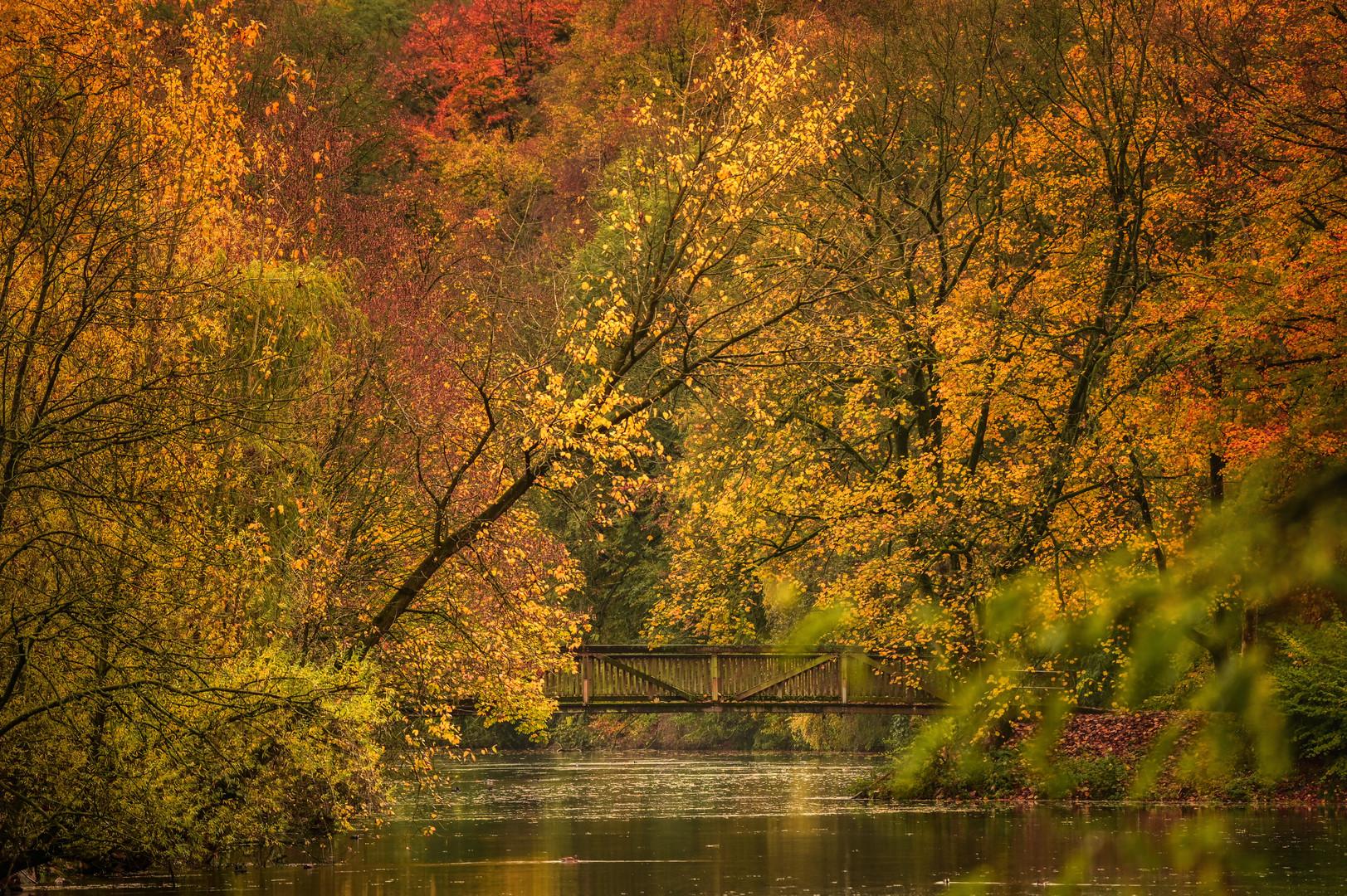 Voll-Herbst-Motiv