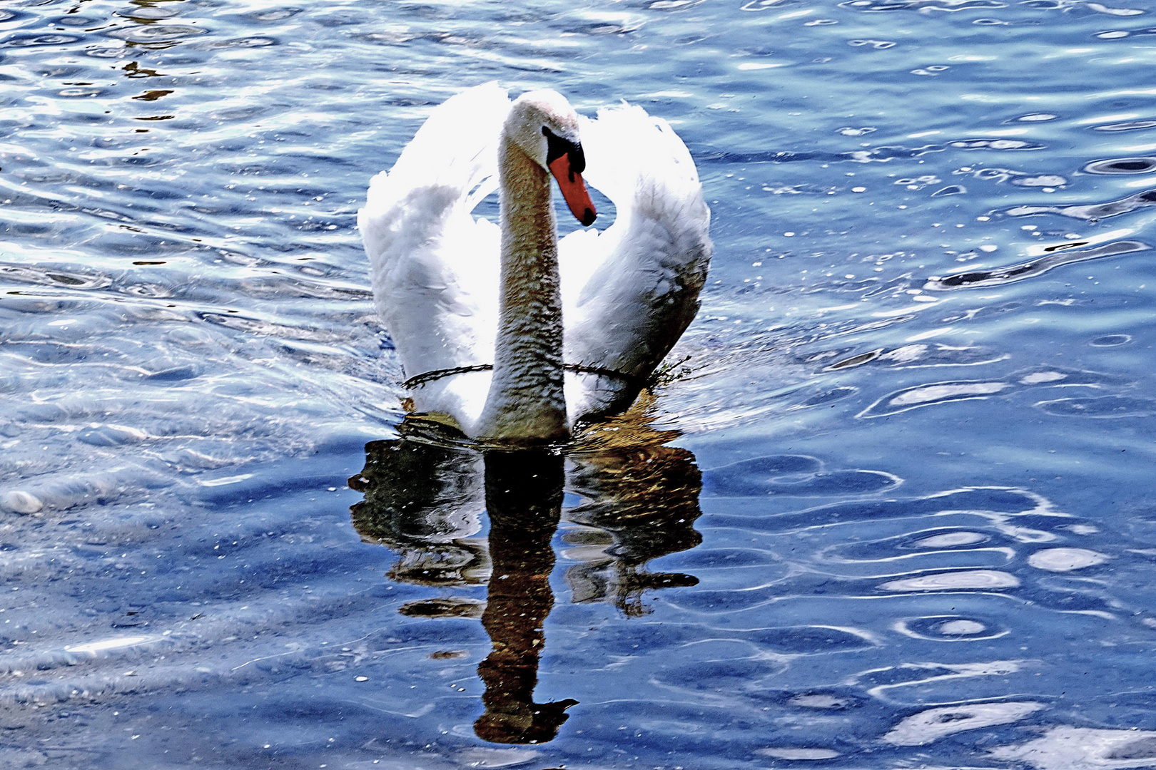 voll im Spiegelbild