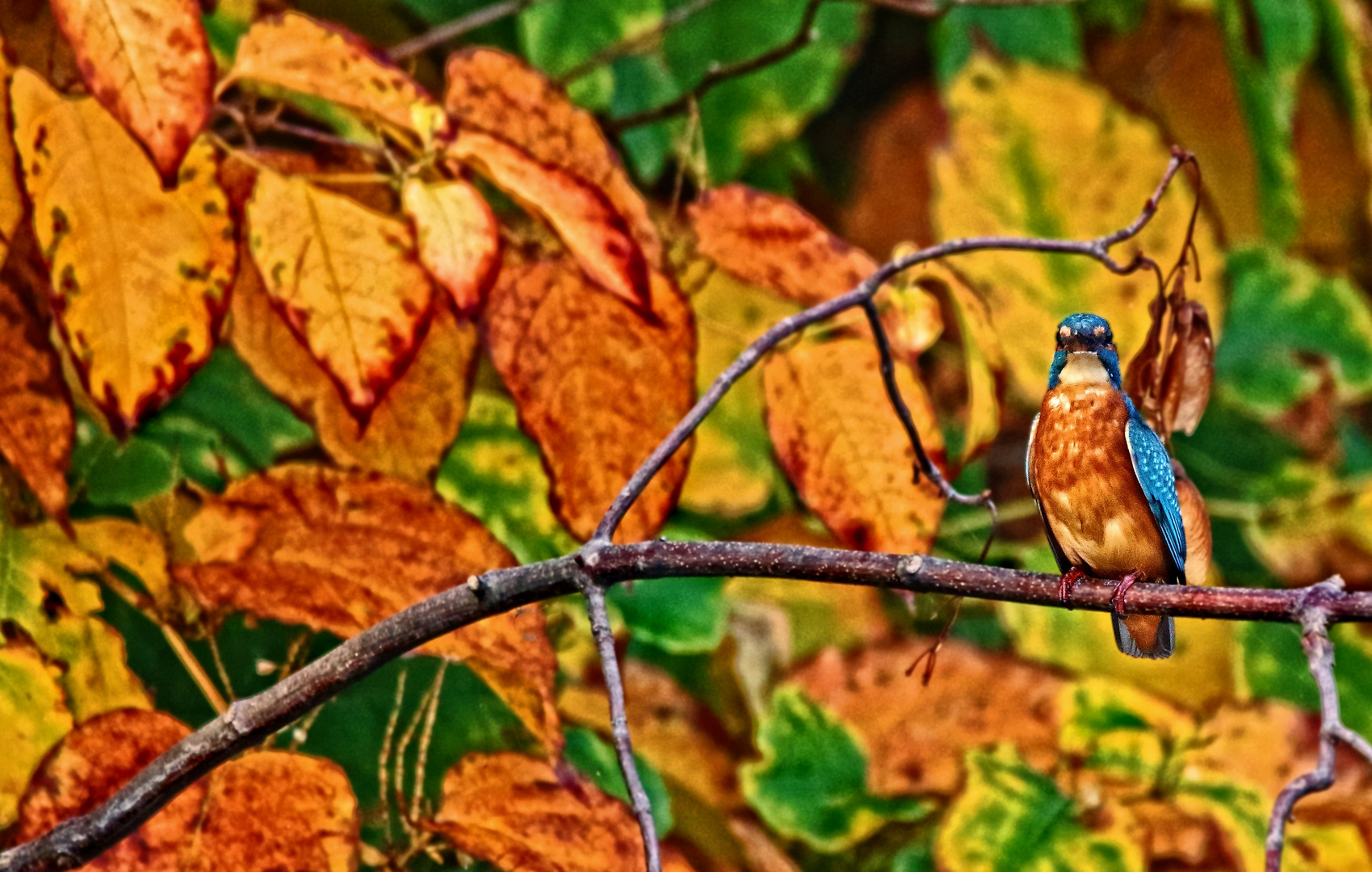 "VOLL IM TREND DER HERBSTMODE"