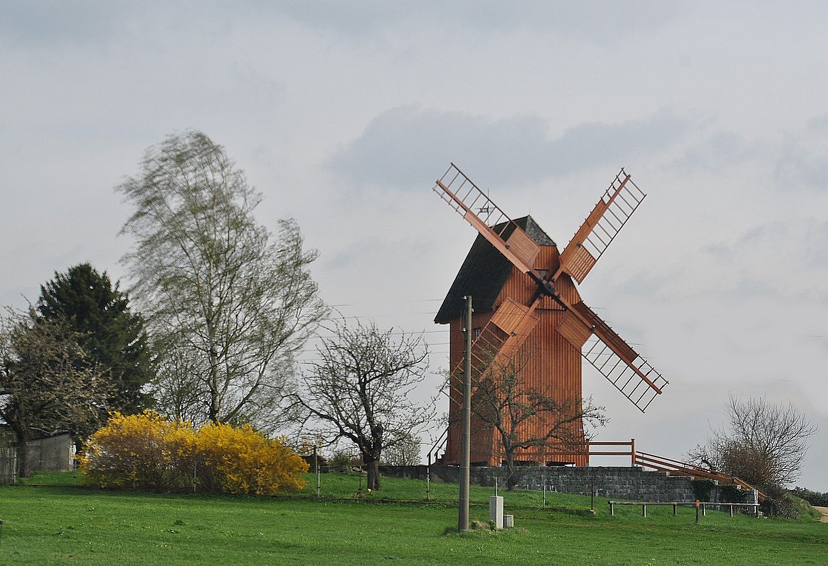 voll im Wind