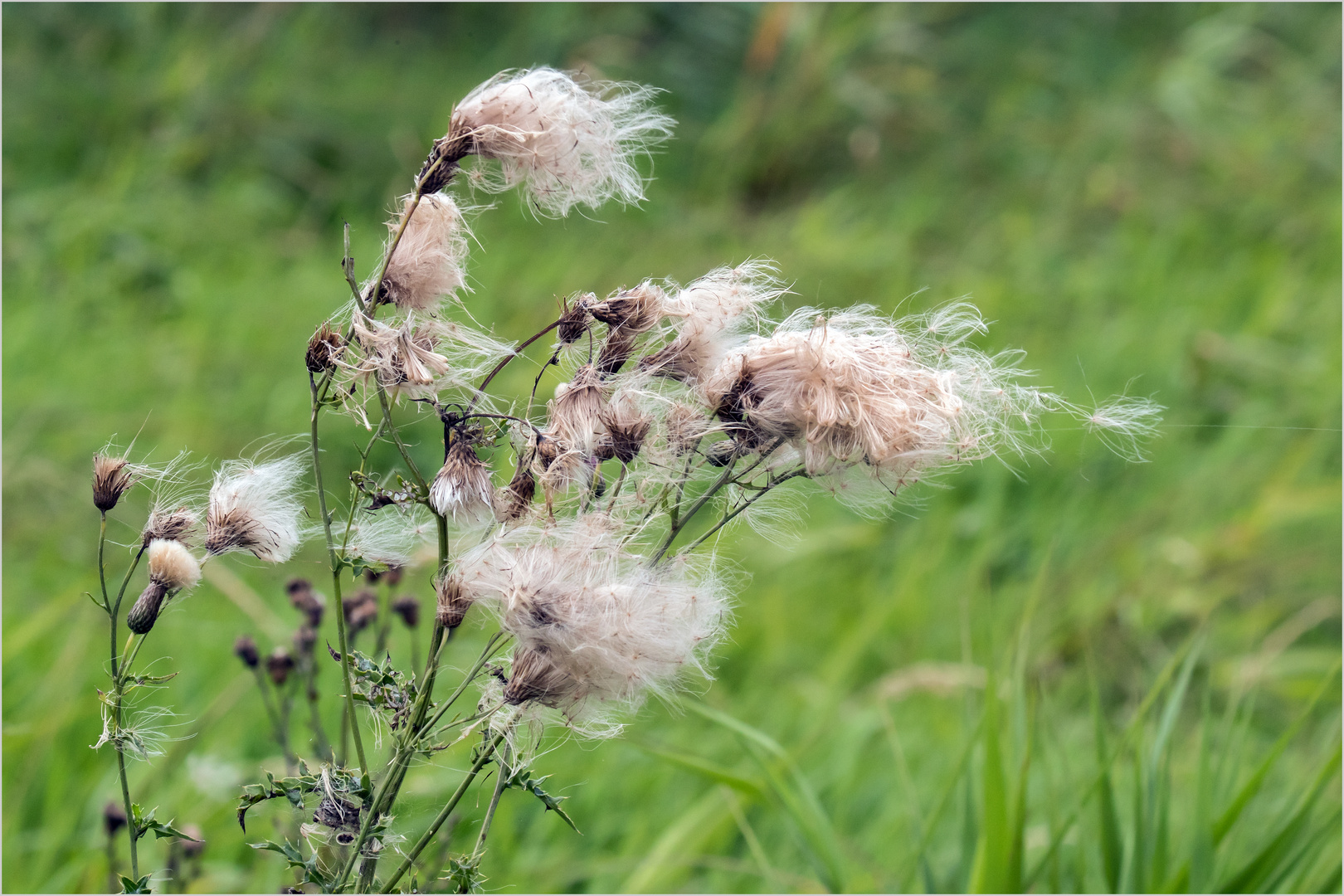 voll im Wind  .....