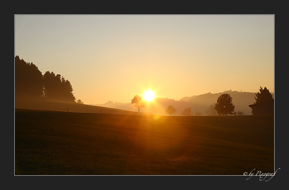 ... voll in die Sonne ....