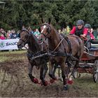 Voll konzentriert.....