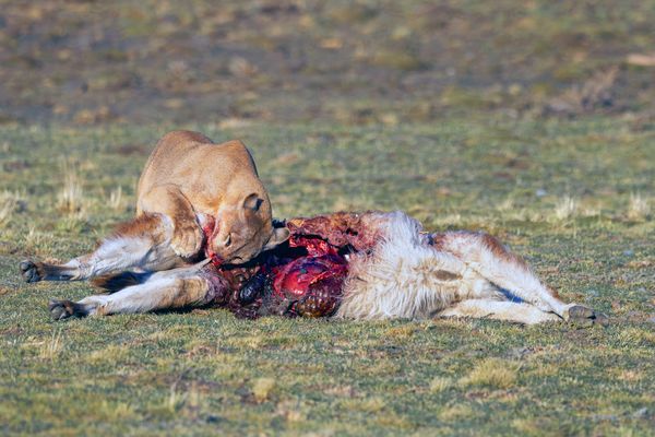 Vollbild auf eigene Gefahr...