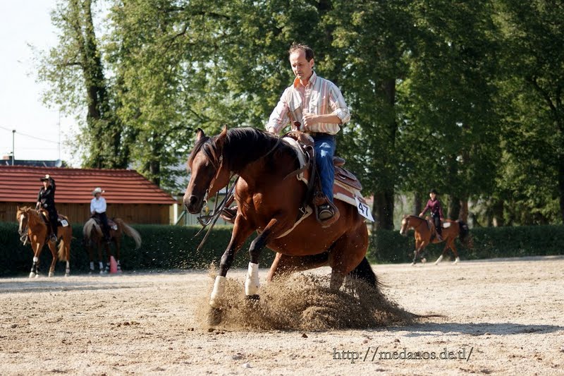 Vollblutaraber Europameisterschaft 2009 - Stadl Paura/Österreich