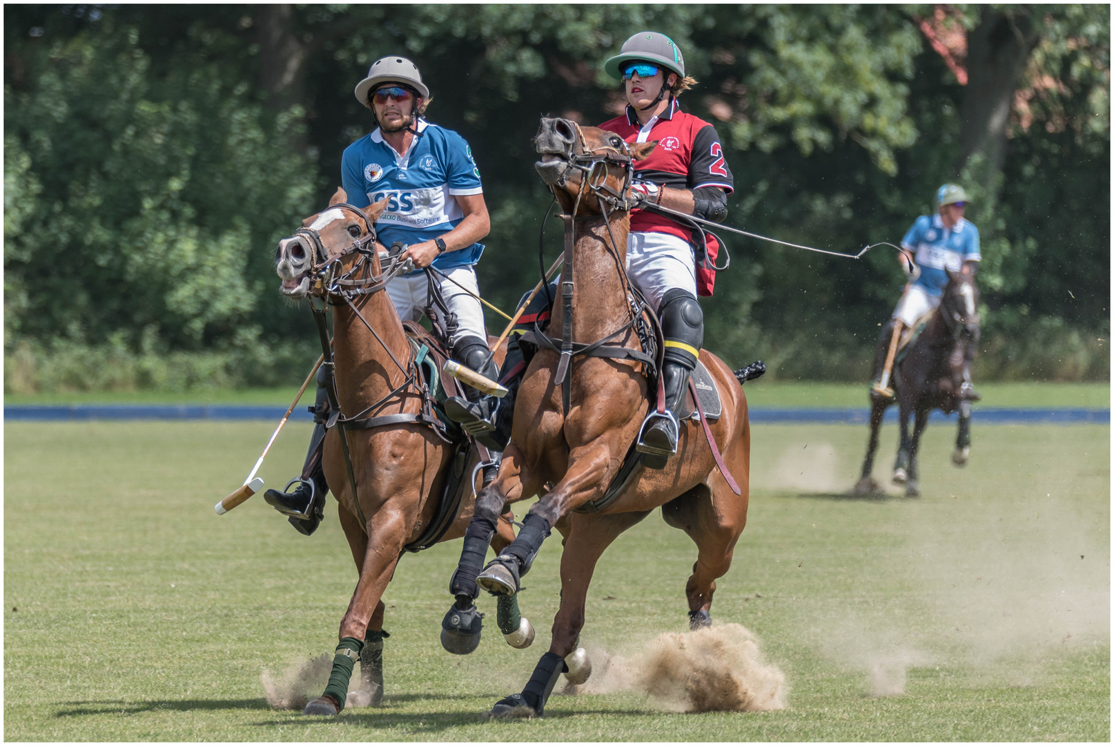 Vollbremsung Foto & Bild sport, world, pferde Bilder auf