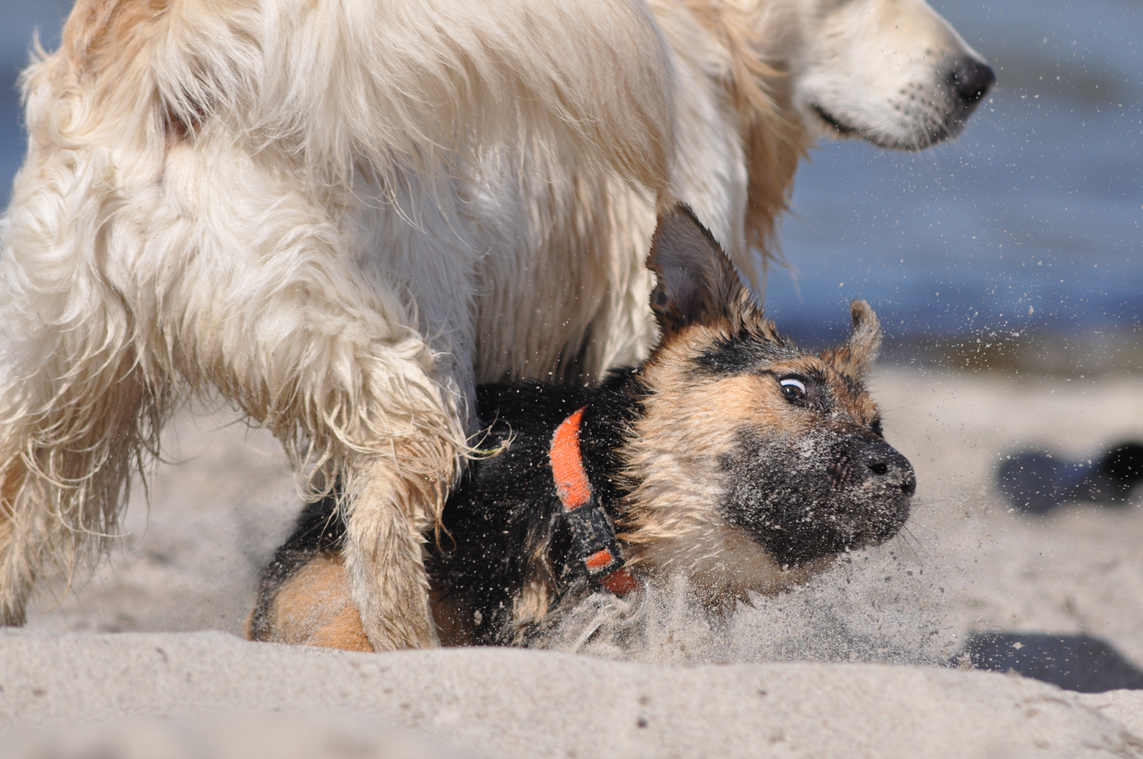 Vollbremsung im Sand