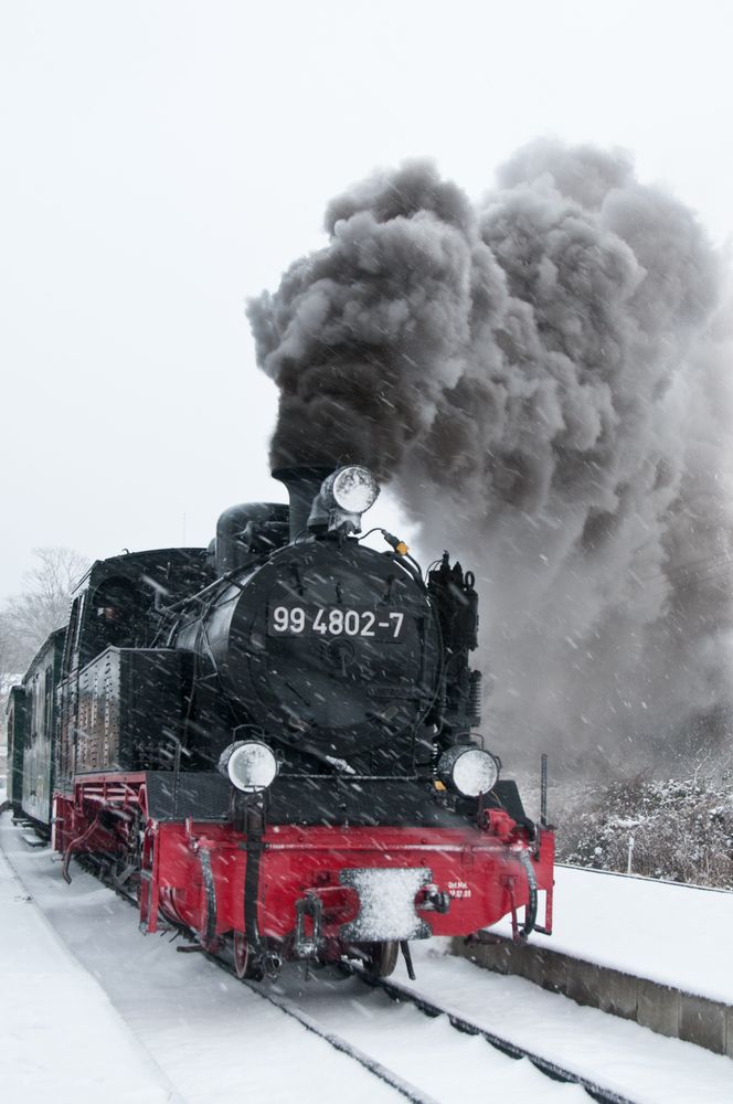 Volldampf Foto & Bild schmalspur, eisenbahn, verkehr & fahrzeuge