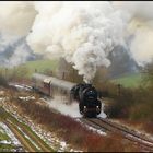 Volldampf auf der Eifelquerbahn