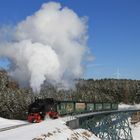 Volldampf bei jedem Wetter II